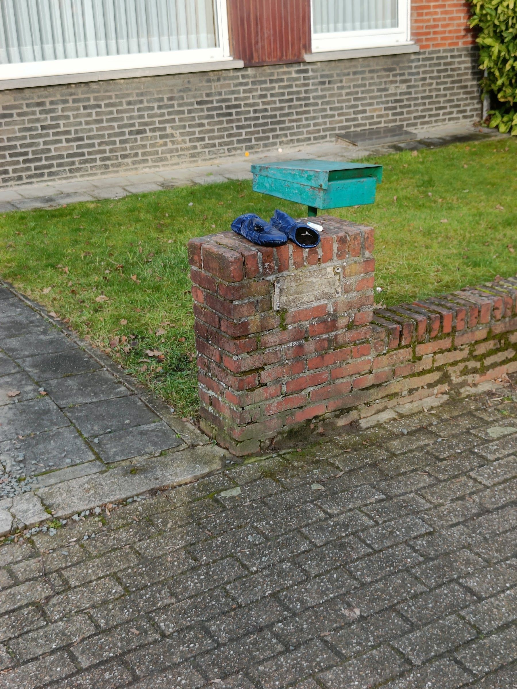 blue glove found on 8 Feb 2026