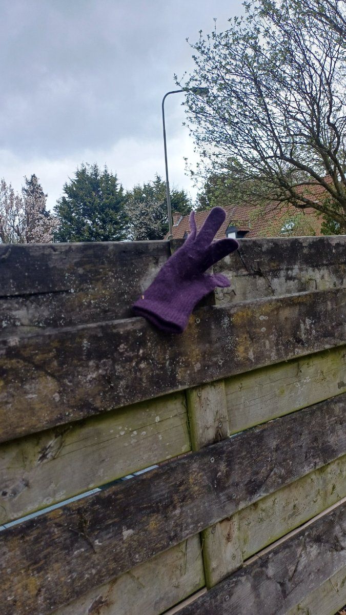 purple glove found on 2 Apr 2026