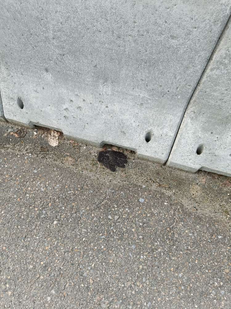 black glove found on 4 Apr 2026