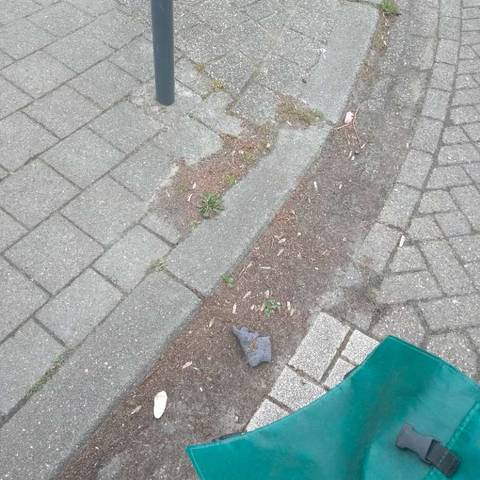 grey glove found on 5 Apr 2026