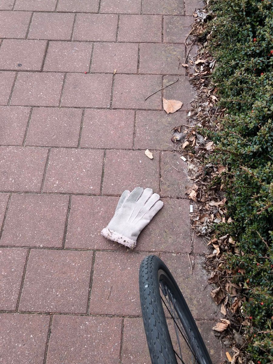 pink glove found on 5 Apr 2026