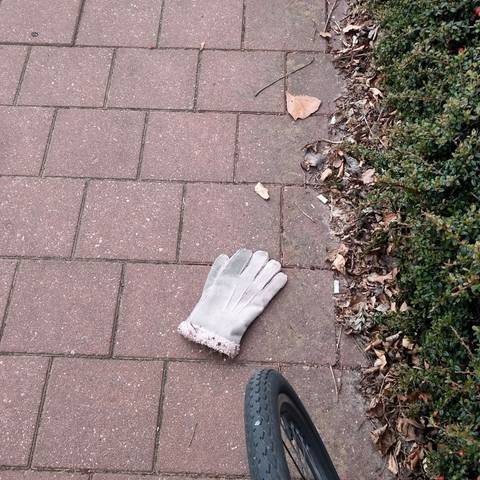 pink glove found on 5 Apr 2026