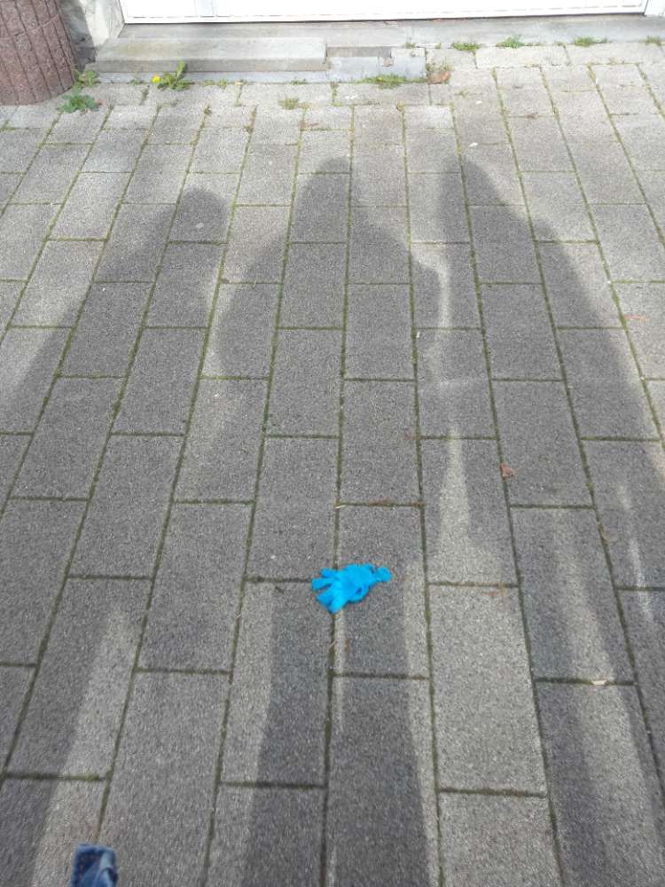 blue glove found on 6 Apr 2026