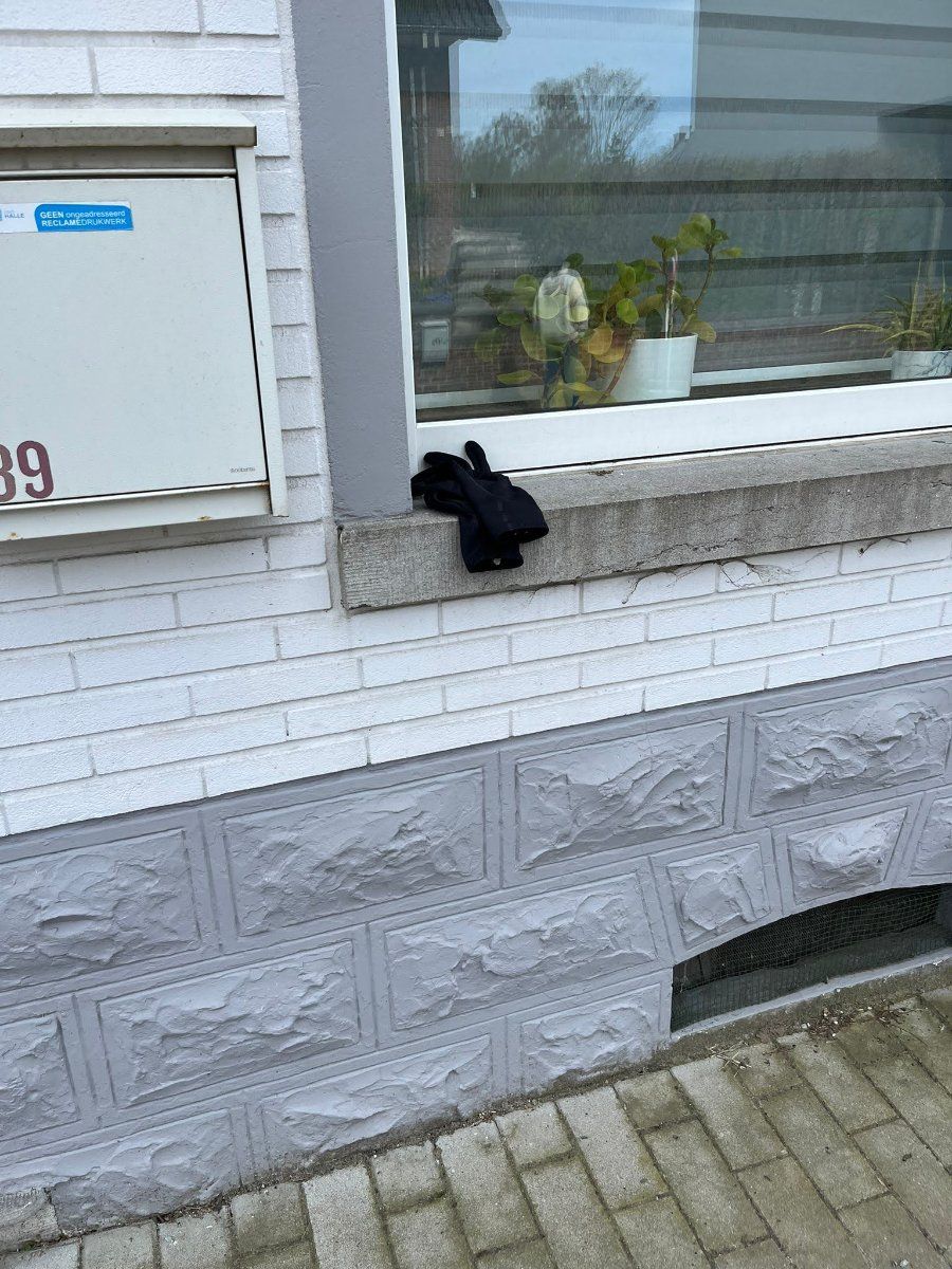 black glove found on 6 Apr 2026