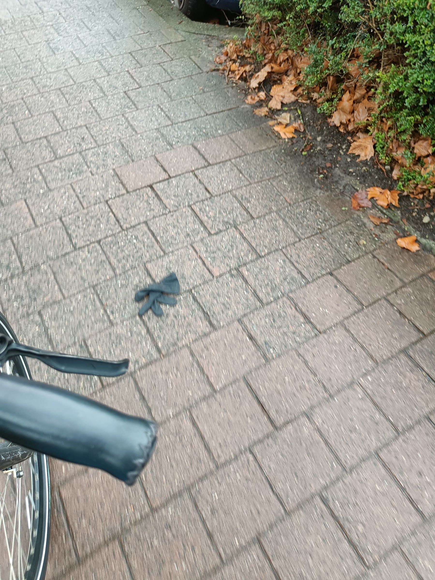 grey glove found on 3 Feb 2026