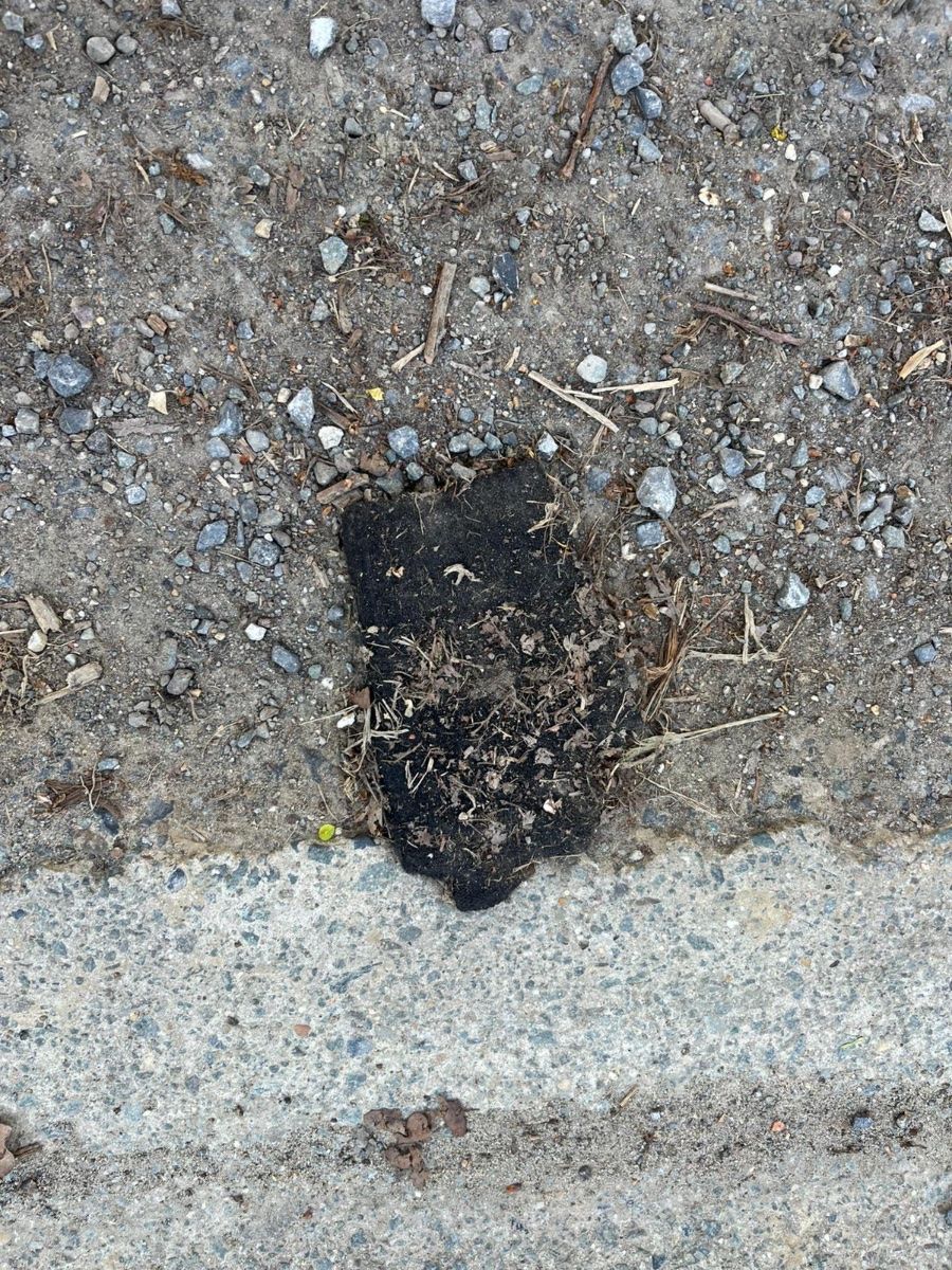 black glove found on 7 Apr 2026