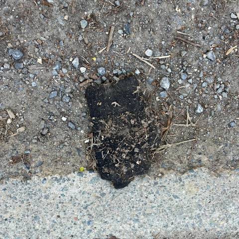 black glove found on 7 Apr 2026