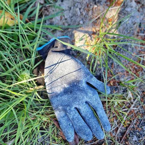 black glove found on 7 Apr 2026