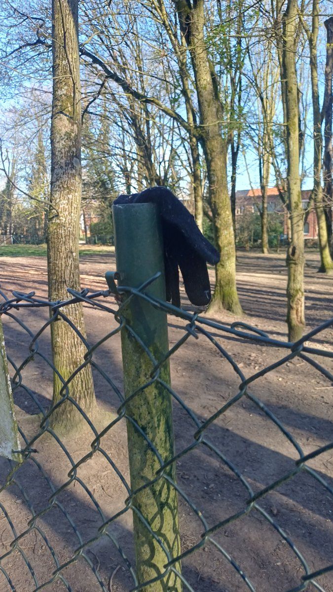black glove found on 7 Apr 2026