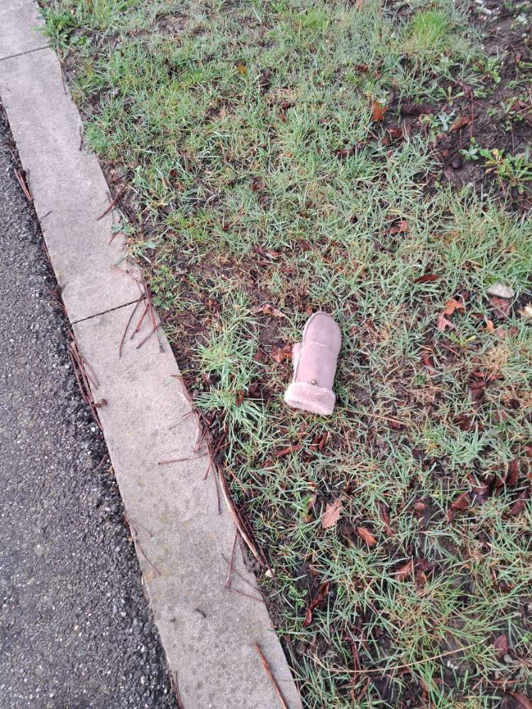 brown glove found on 4 Mar 2026
