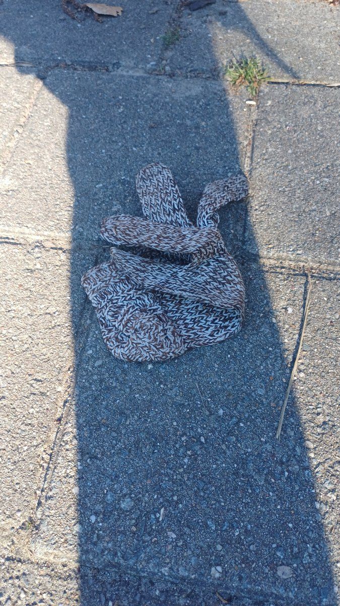brown glove found on 8 Apr 2026