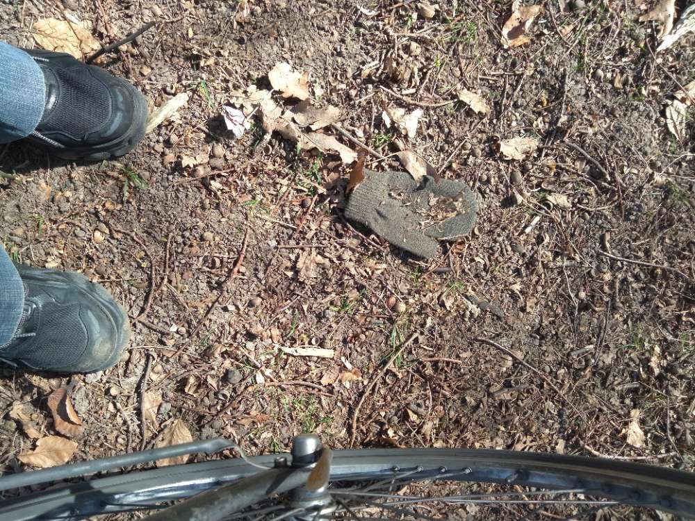 brown glove found on 8 Apr 2026