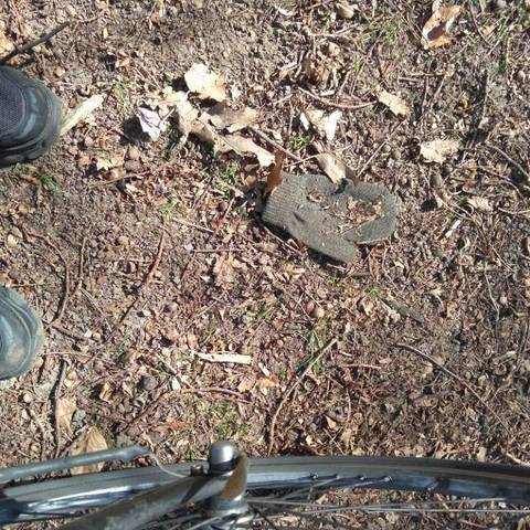 brown glove found on 8 Apr 2026