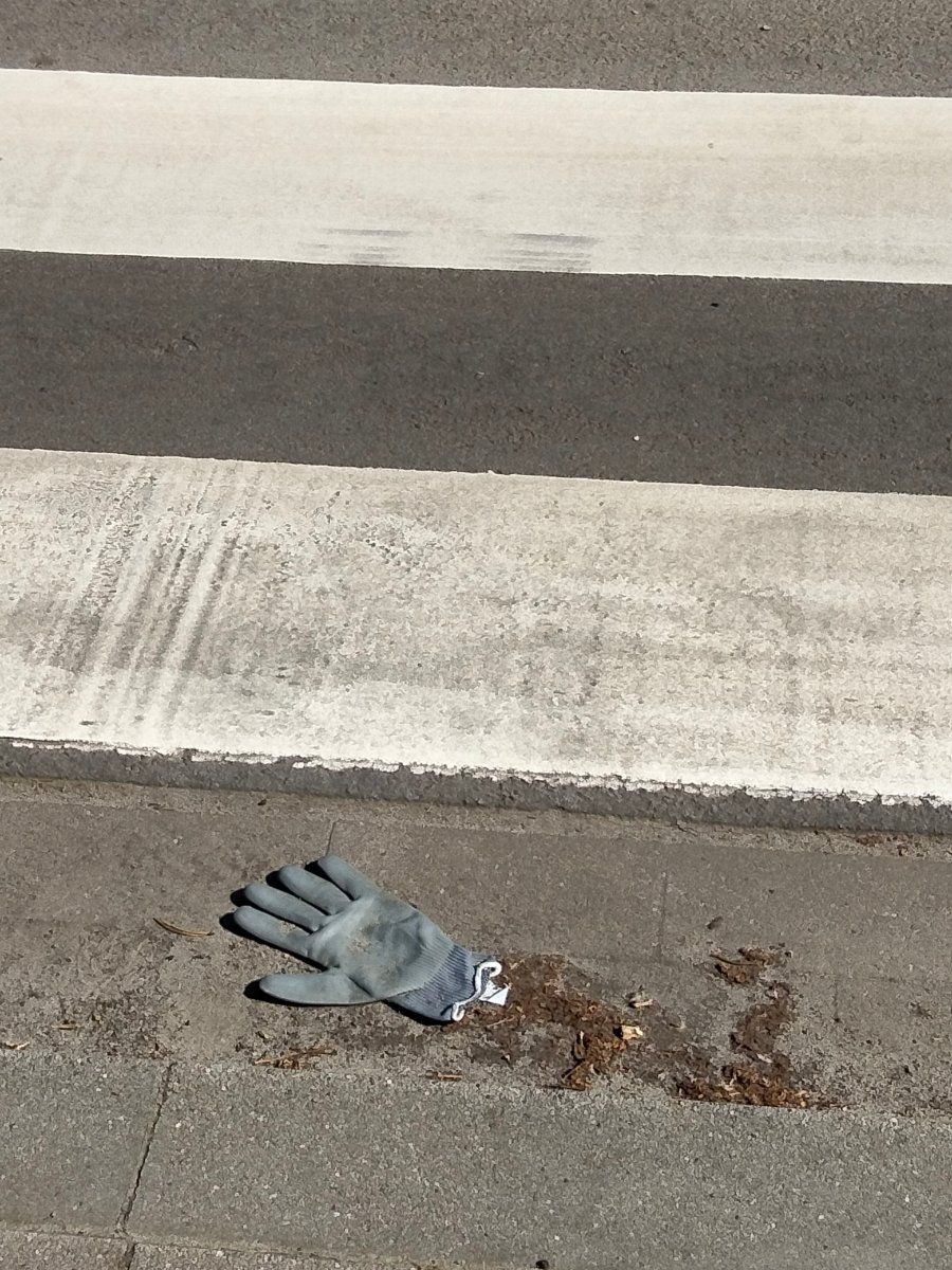 grey glove found on 8 Apr 2026