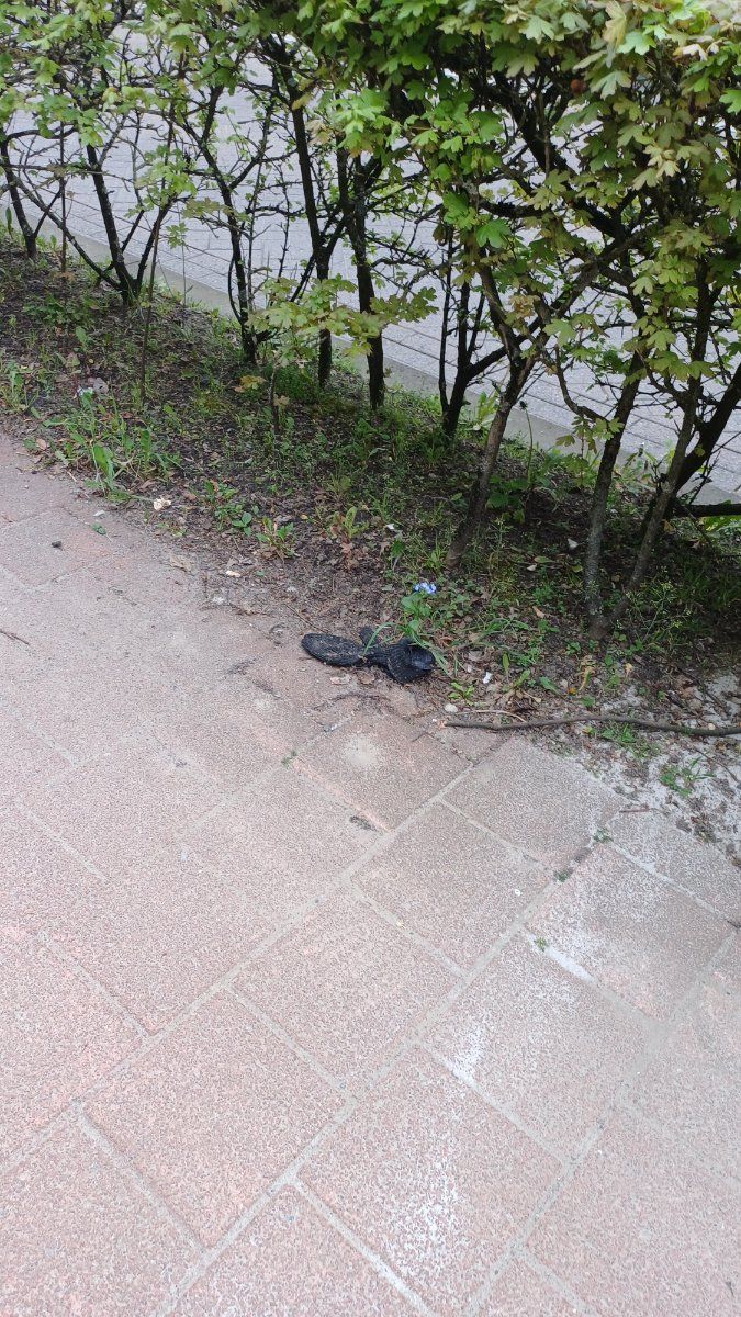 black glove found on 10 Apr 2026
