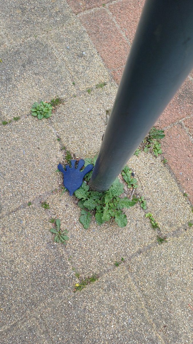 blue glove found on 10 Apr 2026