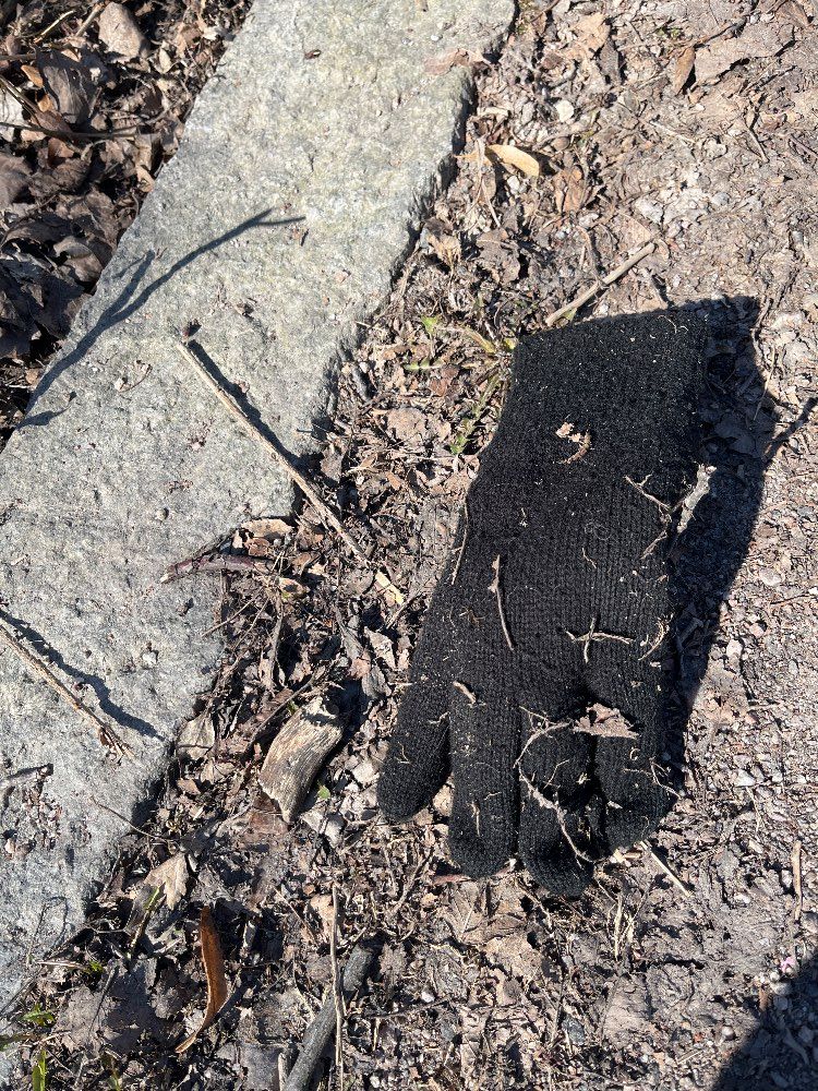 black glove found on 10 Apr 2026
