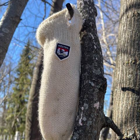 white glove found on 10 Apr 2026