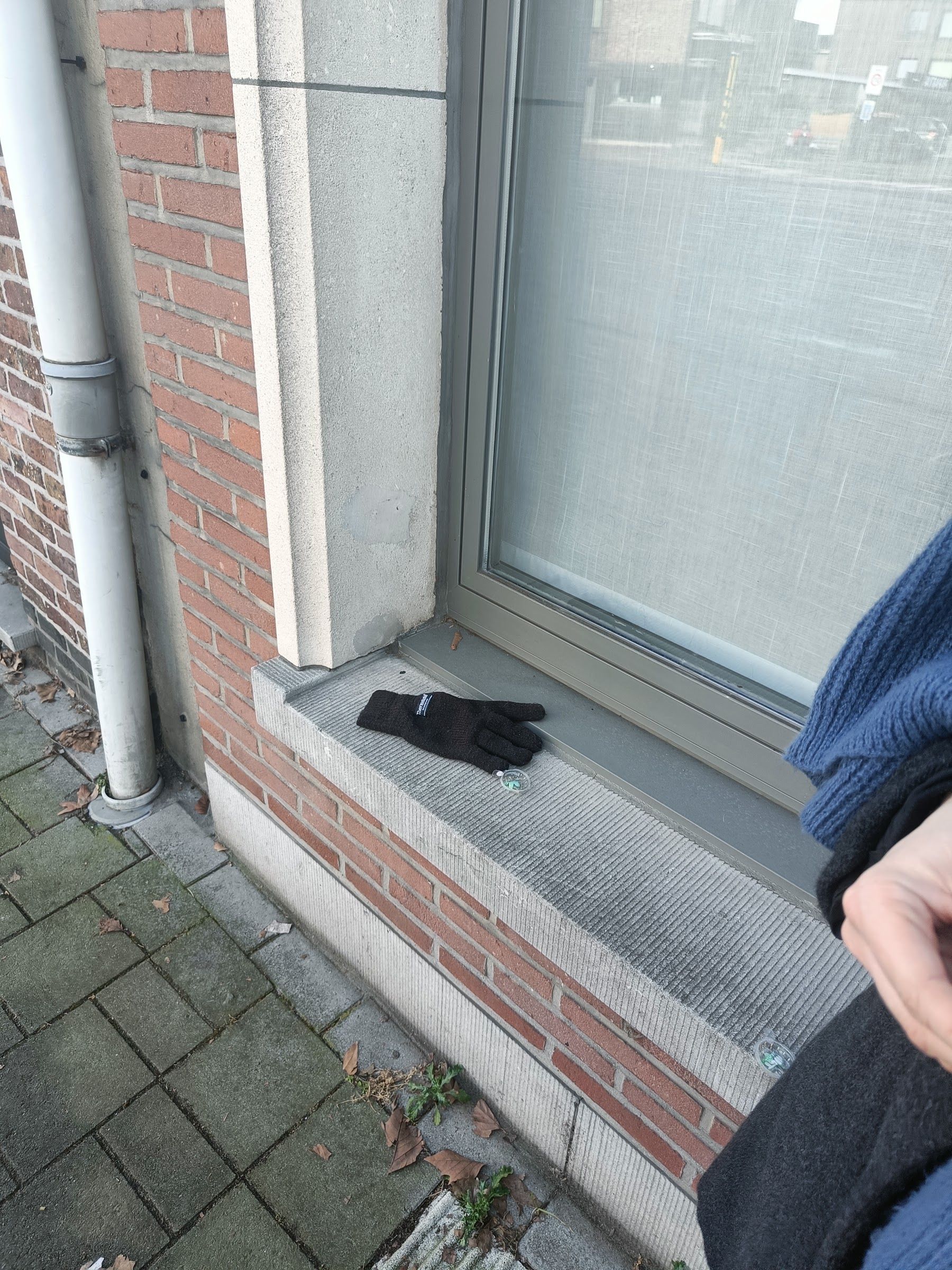 black glove found on 31 Jan 2026