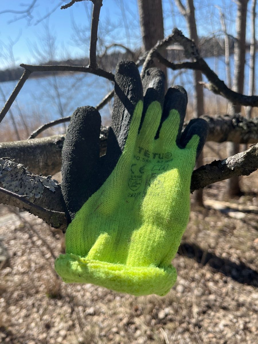 yellow glove found on 10 Apr 2026