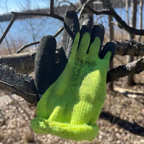 yellow glove found on 10 Apr 2026