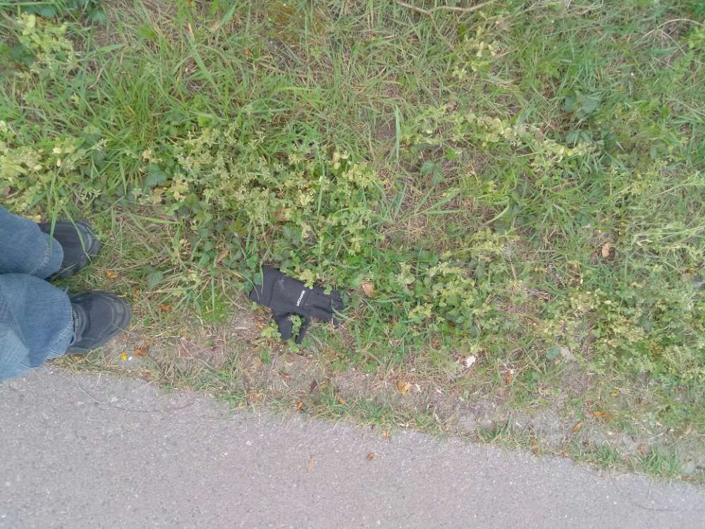 black glove found on 10 Apr 2026