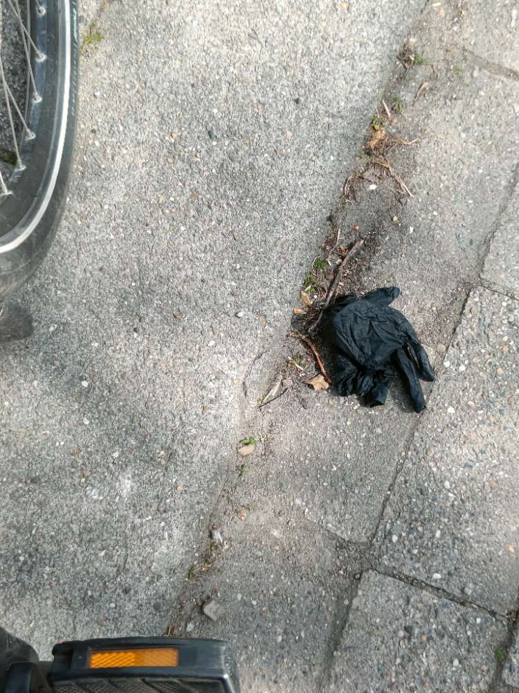 single glove found on 11 Apr 2026