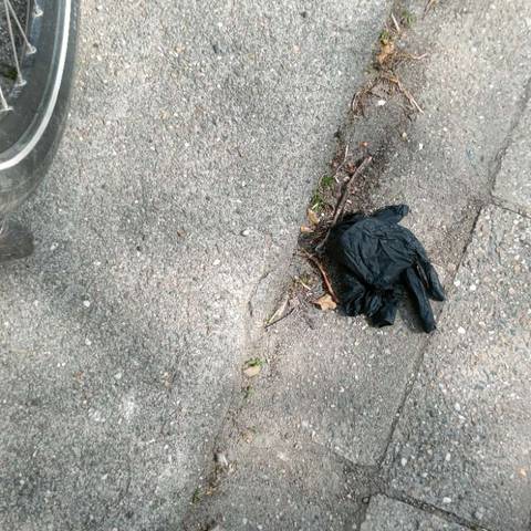 single glove found on 11 Apr 2026