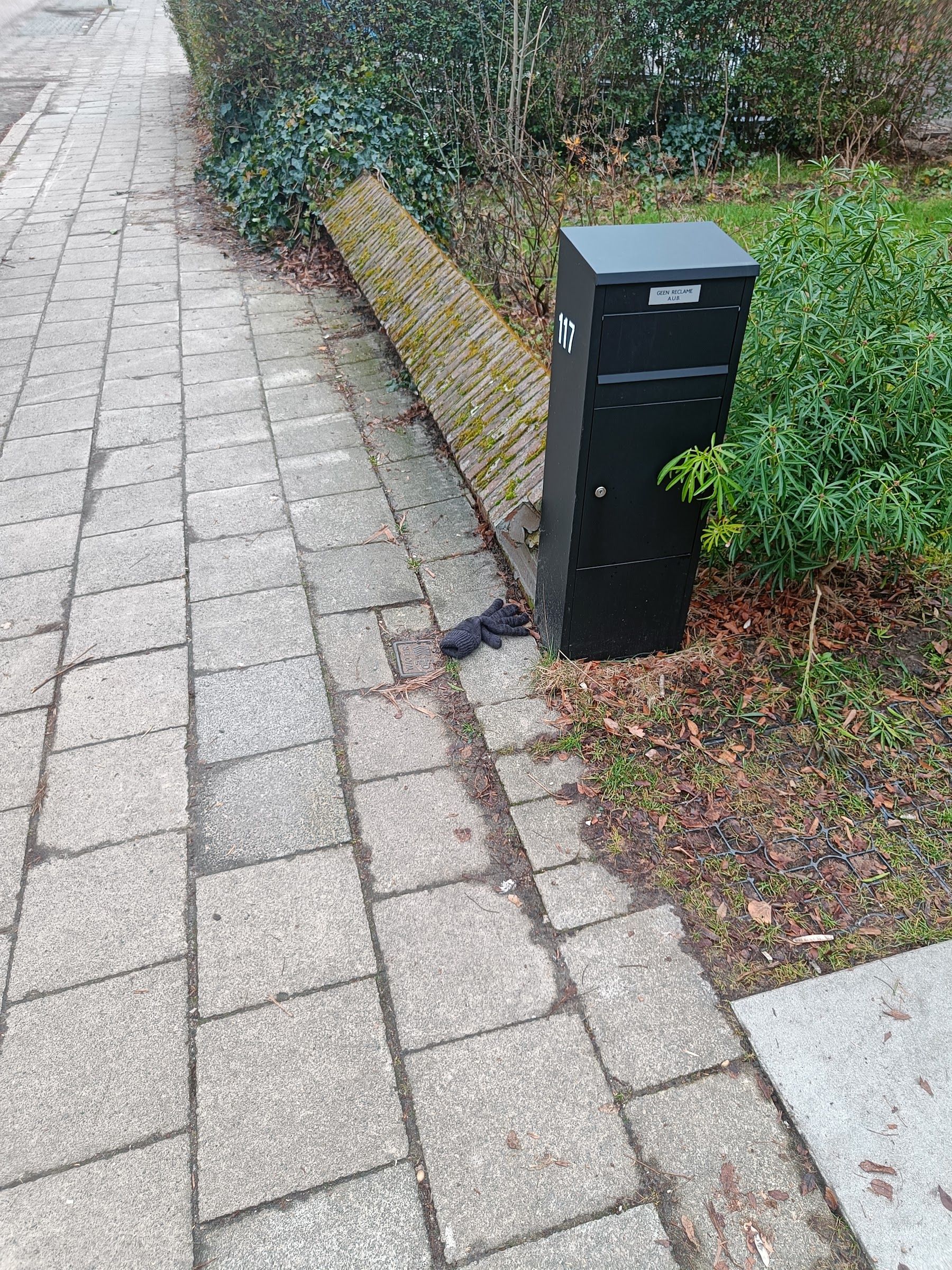 black glove found on 29 Jan 2026