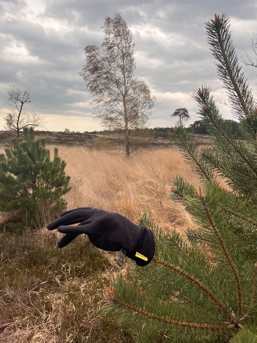 black glove found on 11 Apr 2026