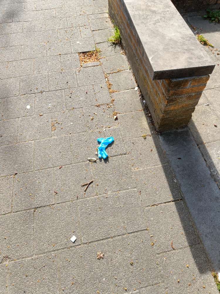 blue glove found on 12 Apr 2026