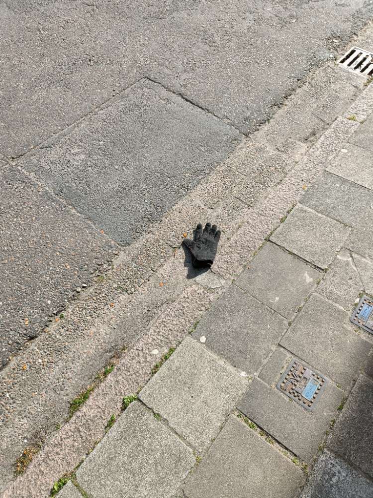 black glove found on 12 Apr 2026