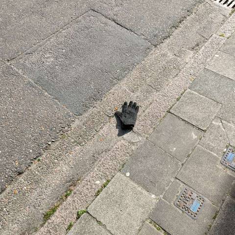 black glove found on 12 Apr 2026