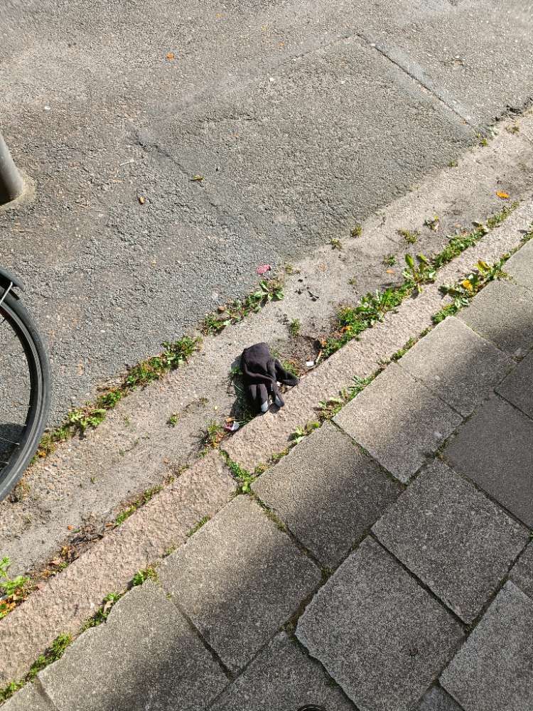black glove found on 12 Apr 2026