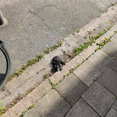 black glove found on 12 Apr 2026