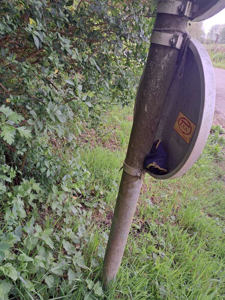 blue glove found on 17 Apr 2026