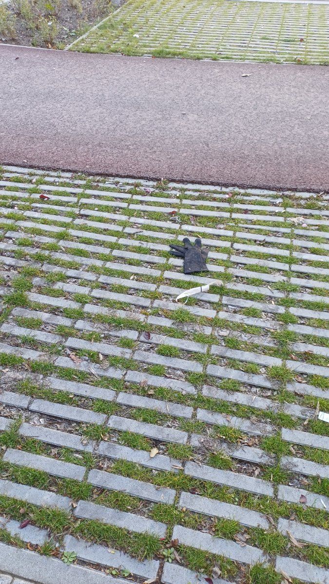 black glove found on 19 Apr 2026