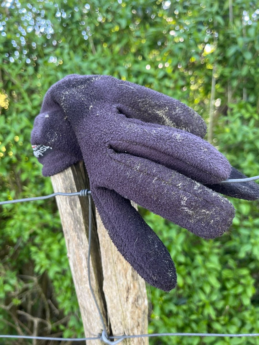 black glove found on 23 Apr 2026
