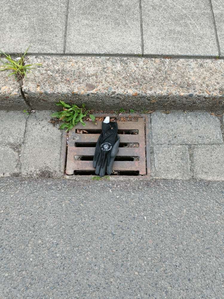 black glove found on 24 Apr 2026