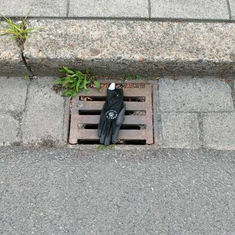black glove found on 24 Apr 2026