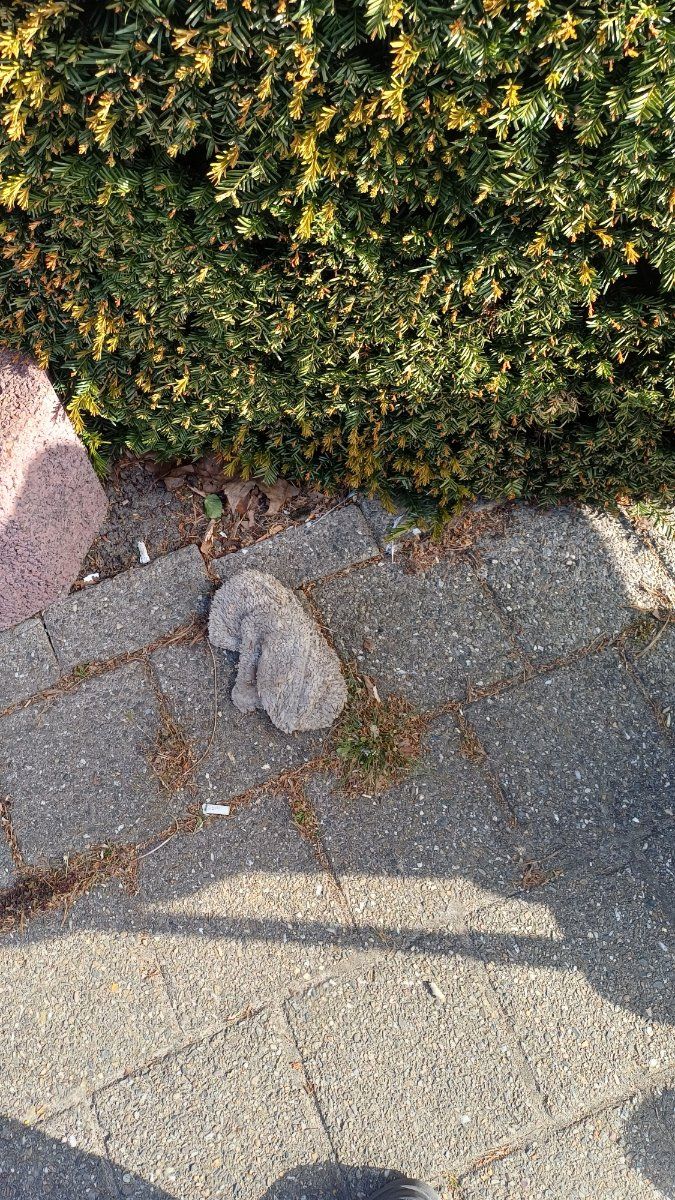 white glove found on 25 Apr 2026