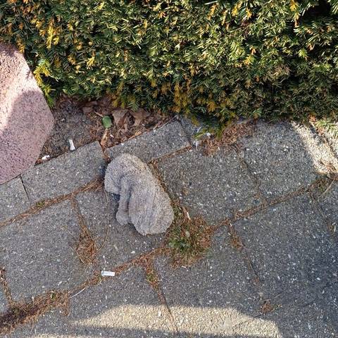 white glove found on 25 Apr 2026