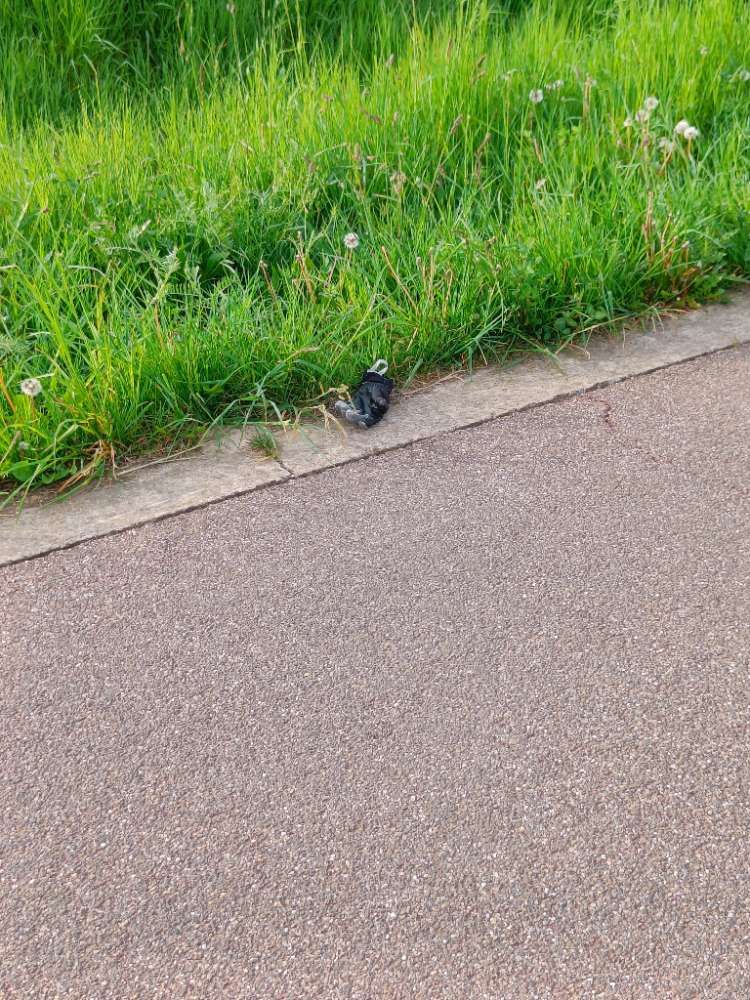 black glove found on 27 Apr 2026