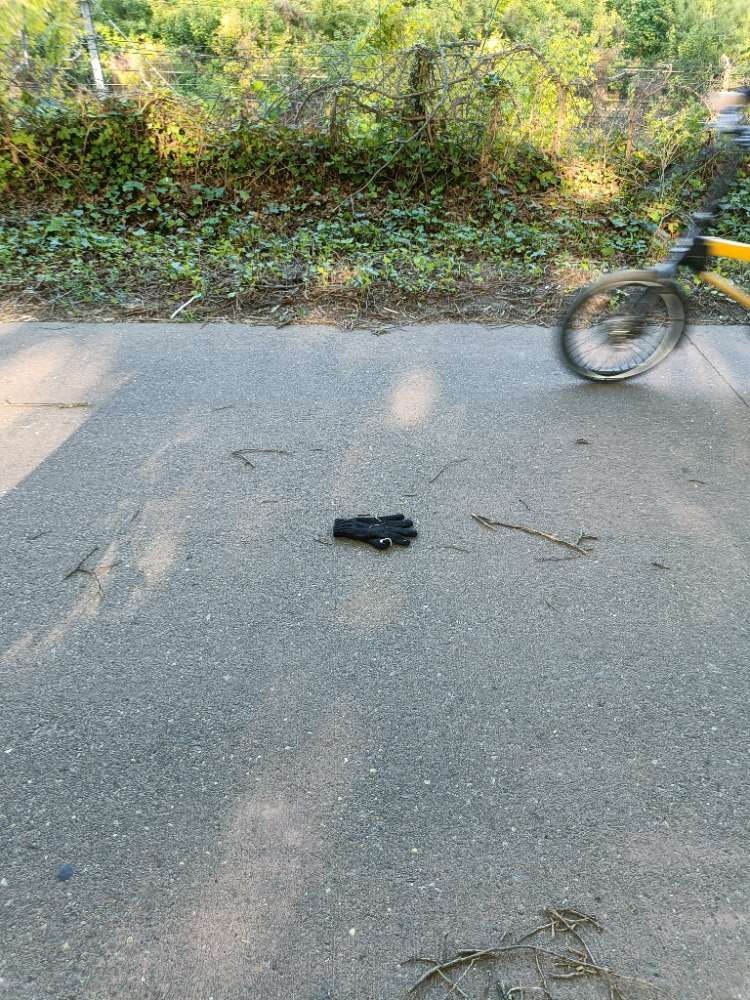 black glove found on 28 Apr 2026