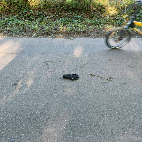 black glove found on 28 Apr 2026