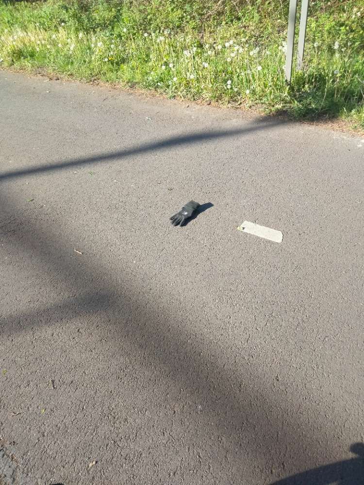 black glove found on 29 Apr 2026