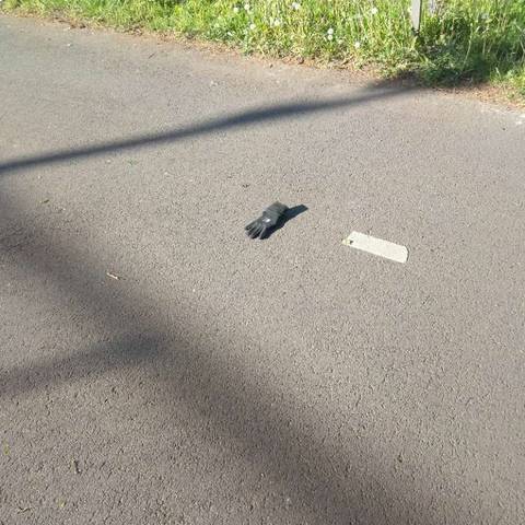 black glove found on 29 Apr 2026
