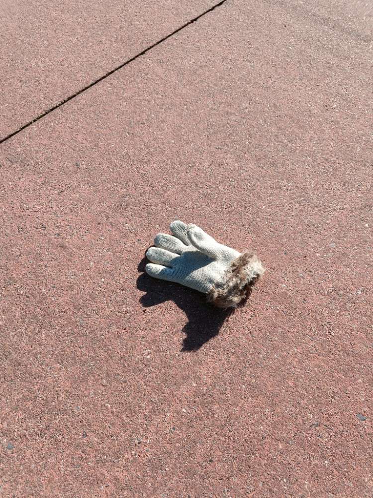 white glove found on 30 Apr 2026