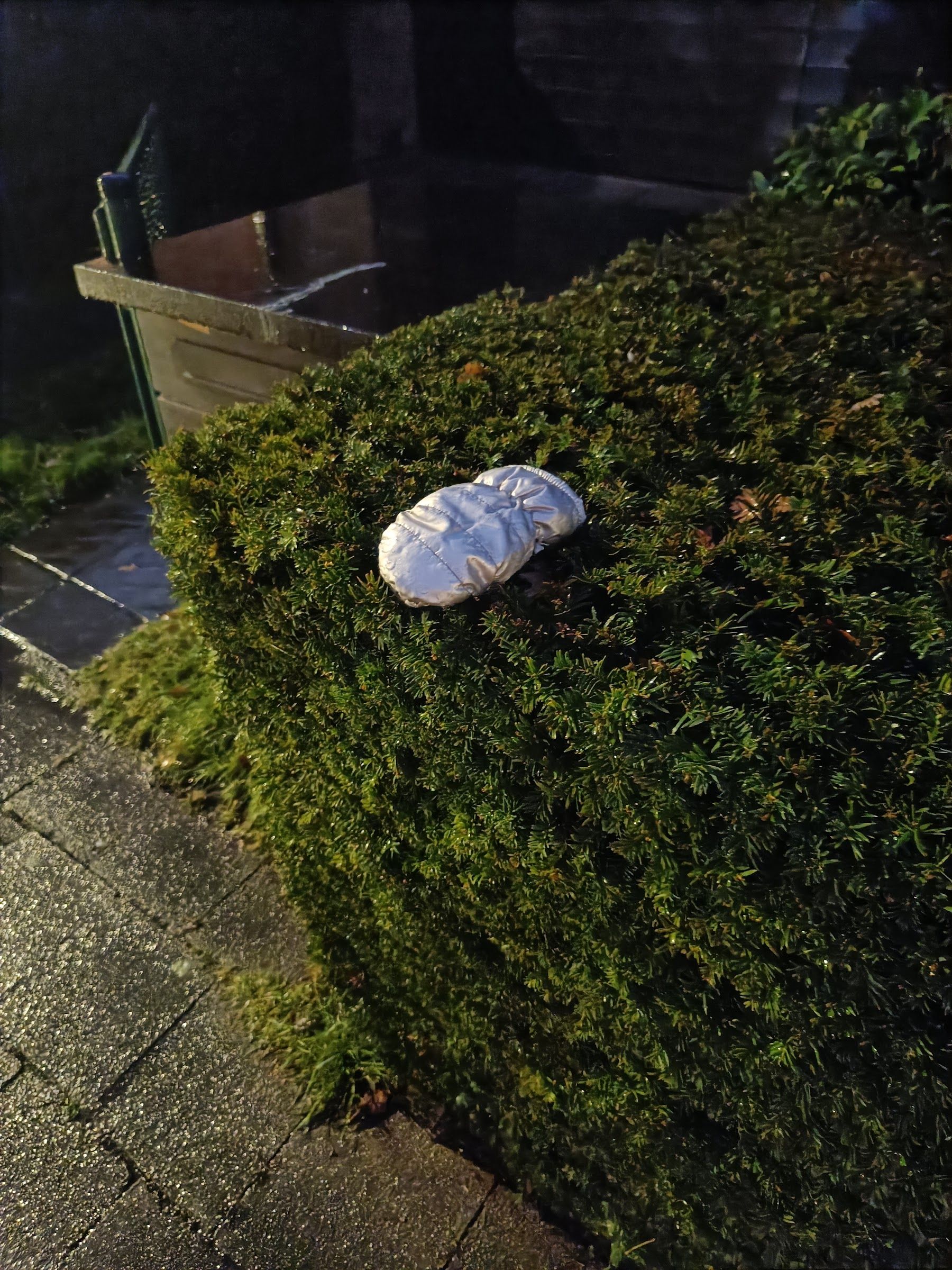silver glove found on 8 Dec 2025