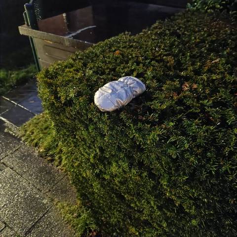 silver glove found on 8 Dec 2025